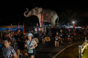 BIB: 
                            <button type="button" onclick="openModal(26552288)" class="btn btn-primary btn-sm float-right btn-popup" data-toggle="modal" data-target=".modal-high-quality">
                        <i class="fas fa-shopping-cart"></i> Add to Cart
                    </button>
                                            <button type="button" onclick="isThisMe(26552288, true)" class="btn btn-success btn-sm float-right btn-popup btn-isme hidden" data-toggle="tooltip" data-placement="bottom" title="นี่คือรูปของคุณใช่ไหม คลิกที่นี่เพื่อเอาเข้าอัลบั้ม">
                        <i class="fas fa-plus"></i> Add to album
                    </button>
                    <button type="button" onclick="isThisMe(26552288, false)" class="btn btn-warning btn-sm float-right btn-popup btn-isnotme hidden">
                        <i class="fas fa-ban"></i> Remove from album
                    </button>